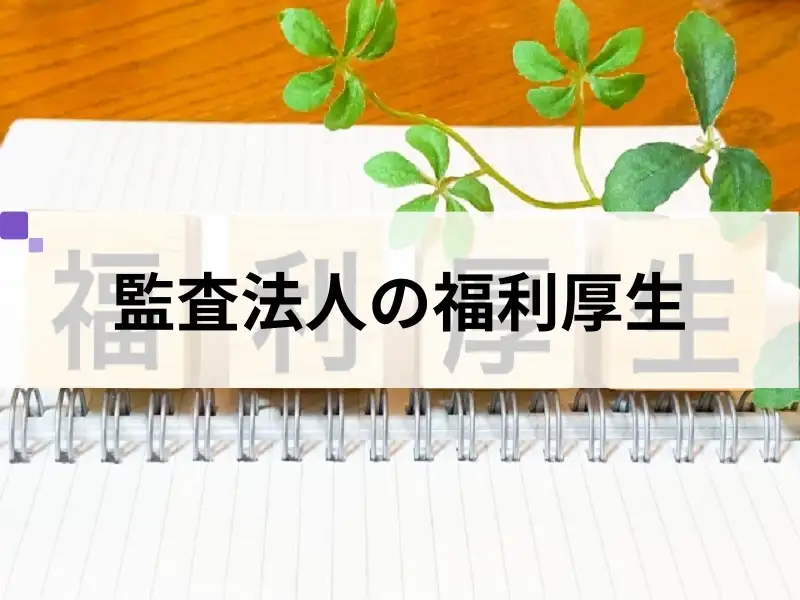 監査法人の福利厚生は少ない？大手監査法人の福利厚生を比較